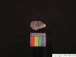 L_V23d3962 J4q135.1 U929 dM la f64